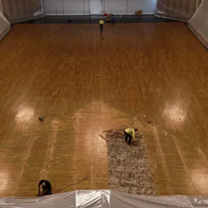 old-growth-assessment-theater-flooring