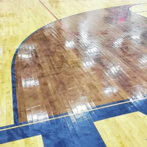 old-growth-moisture-issue