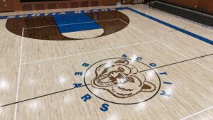 Indoor basketball court with a large circular bear mascot logo at center and blue team colors along the edge of the floor.