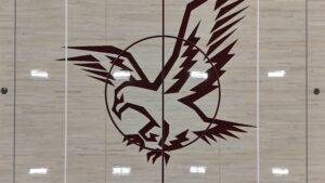 Abstract maroon emblem resembling a jagged bird or sun inside a circle, painted on a light wooden gym floor wall mural.